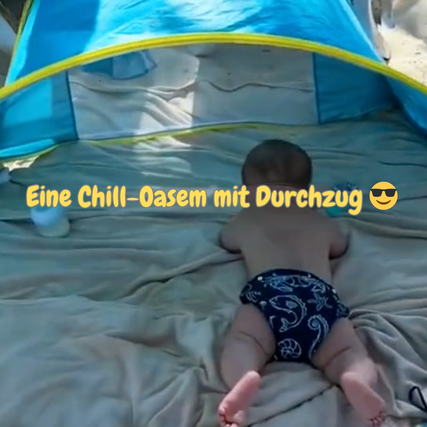 Planschmuschel - der Allwetterschutz 🛡